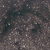 Golden Fleece thumbnail